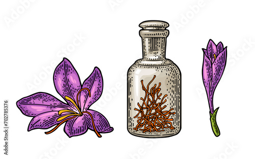 Bottle with dry threads. Saffron flower with stamens. Engraving