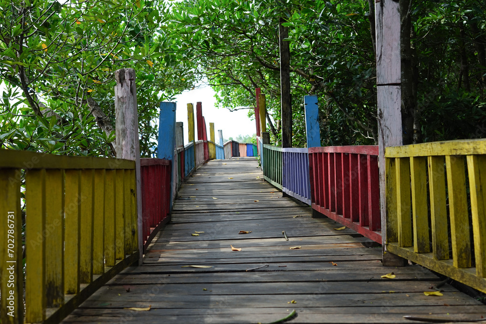 Colorful wooden walkway in the Indonesian mangrove forest