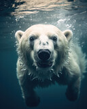 Polar bear swims through icy water animal wildlife