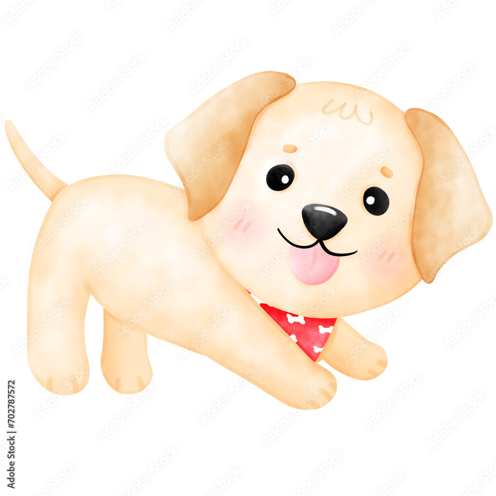 Obraz premium Labrador dog, puppy, cute dog