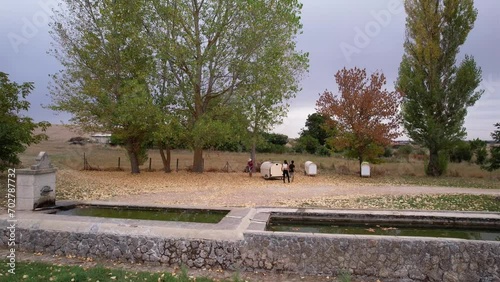 People near campervans and fountain in park