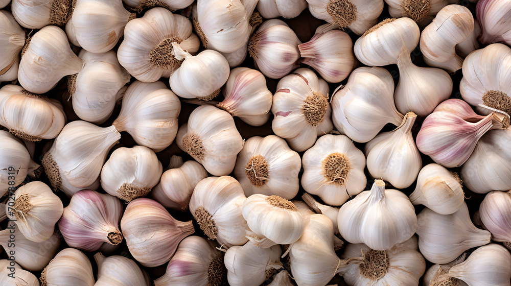 Fresh garlic cloves background Fresh garlic cloves background