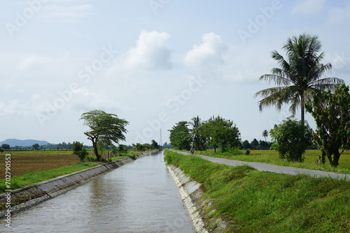Rice field irrigation channels and village roads