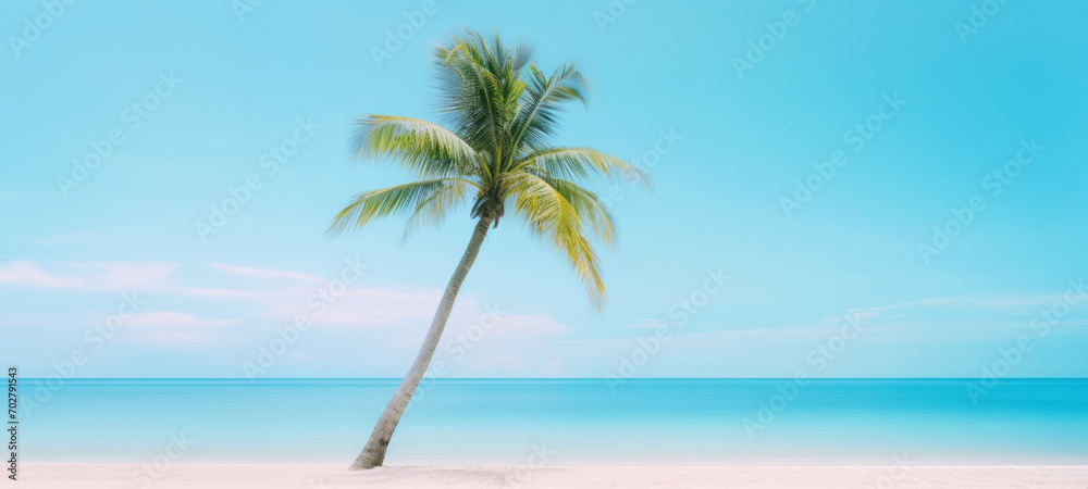 Fototapeta premium Palm tree on tropical beach with blue sky and white clouds abstract background, Copy space of summer vacation and travel concept.