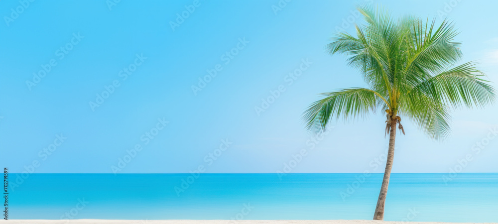 Palm tree on tropical beach with blue sky and white clouds abstract background, Copy space of summer vacation and travel concept.