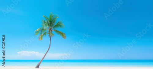 Palm tree on tropical beach with blue sky and white clouds abstract background  Copy space of summer vacation and travel concept.