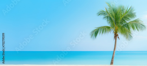 Palm tree on tropical beach with blue sky and white clouds abstract background  Copy space of summer vacation and travel concept.