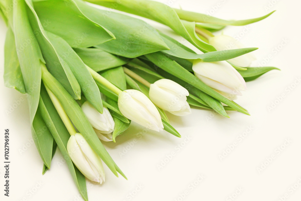 Bouquet of fresh white tulips close-up. Bouquet of fresh white tulips close-up.