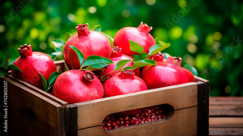 Pomegranate harvest in a box in the garden. Selective focus.