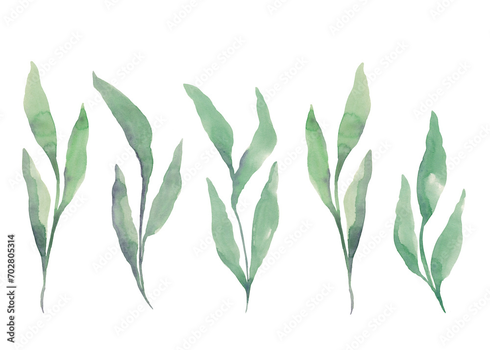 Naklejka premium Watercolor greenery border. Isolated illustrations