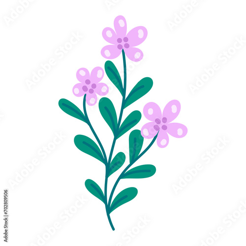 flat color vector flower object illustration