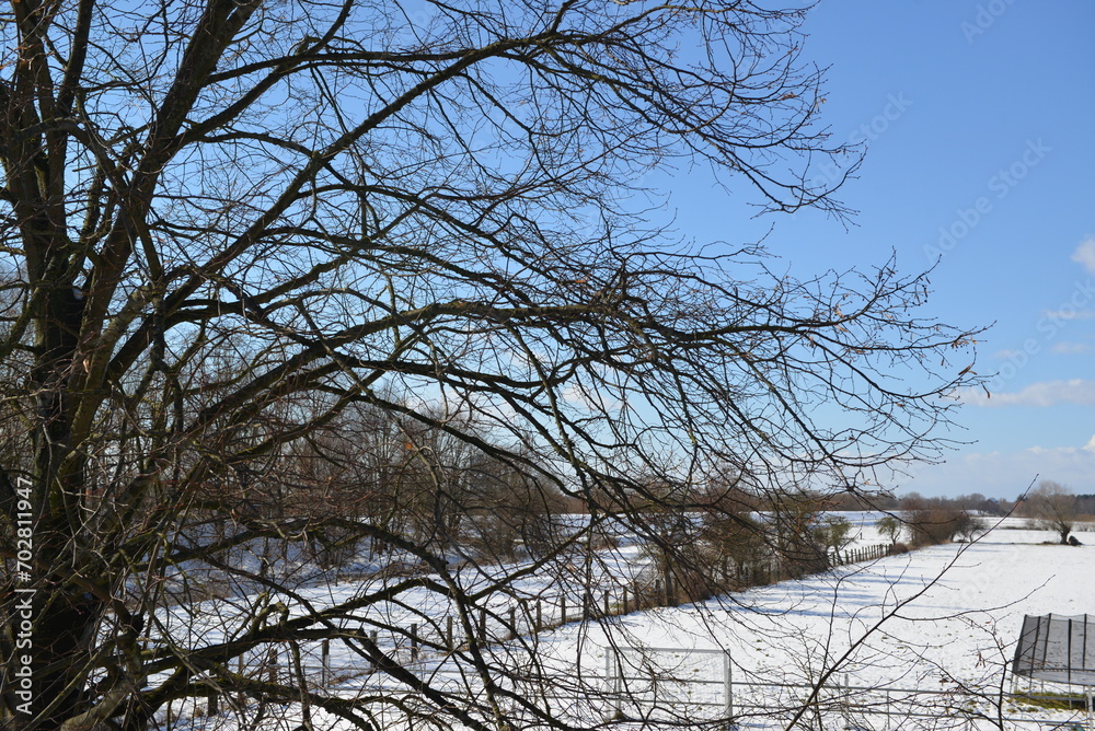 Fototapeta premium Winterwonderland_027 