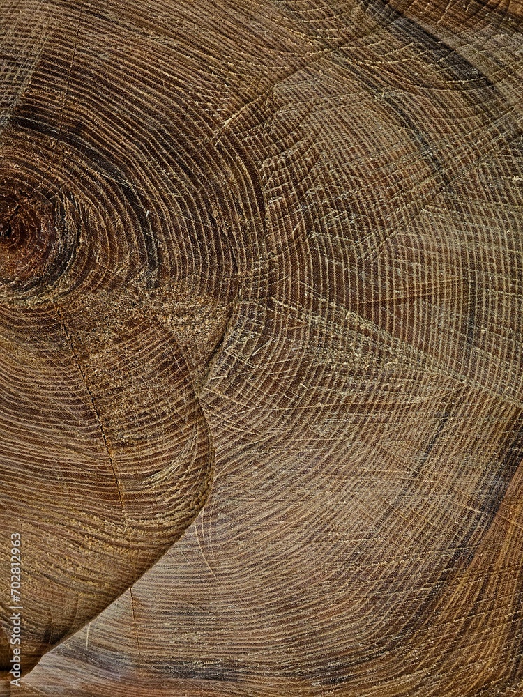 Naklejka premium Hands and fingers with psoriatic onychodystrophy or psoriatic nails. fungal infection of nails. Deformed human nails. Damaged yellow human nail. Burn to the nail plate after a poor-quality manicure