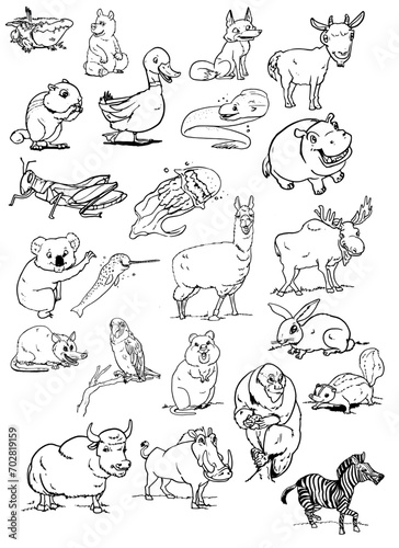 set of animals cartoons