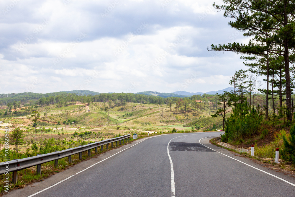 A Beauty Road Through Pine Forest In Lam Dong Province, Vietnam.