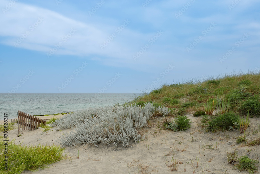 PUGLIA, ITALIA, beach, sea, sand, water, sky, ocean, coast, landscape, nature, summer, clouds, waves, holiday, bay, travel, rocks, vacation, shore, coastline, boat, sun, PUGLIA, ITALIA, beach, sea, sand, water, sky, ocean, coast, landscape, nature, summer, clouds, waves, holiday, bay, travel, rocks, vacation, shore, coastline, boat, sun,
