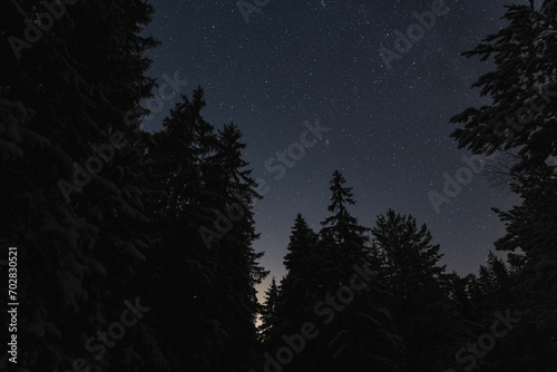Night scene of Estonian nature, silhouette of winter trees against the background of the starry sky in desu.
