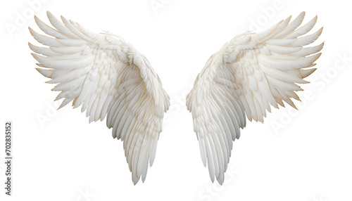 Angel wings isolated on white