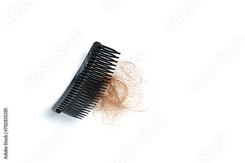 Hair loss in comb  hair fall everyday serious problem  on white background.