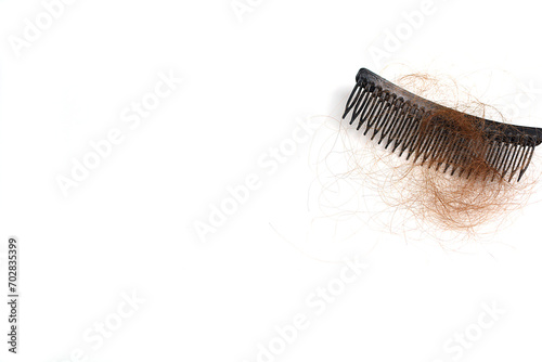 Hair loss in comb  hair fall everyday serious problem  on white background.