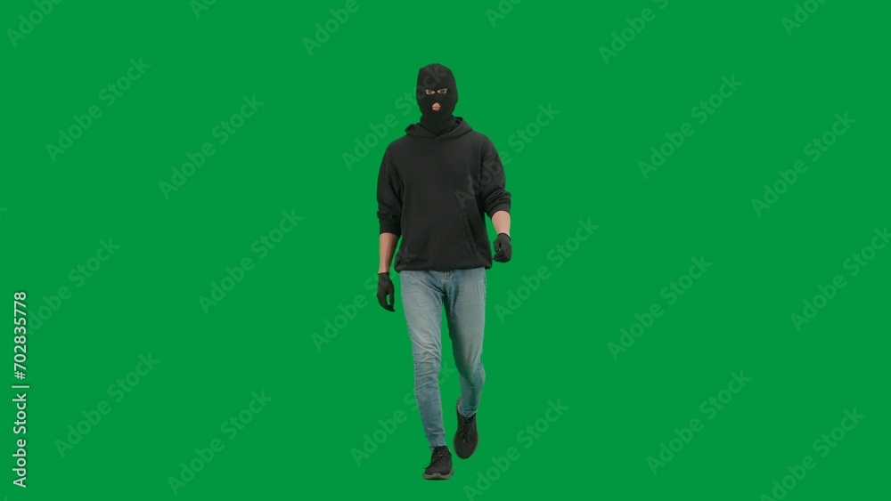 Portrait of thief on chroma key green screen background. Man robber wearing hoodie, jeans and black balaclava, walking getting ready for making a crime. Portrait of thief on chroma key green screen background. Man robber wearing hoodie, jeans and black balaclava, walking getting ready for making a crime.
