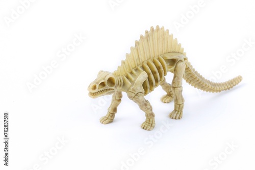 Skeleton of dinosaur on a white background © Janusz