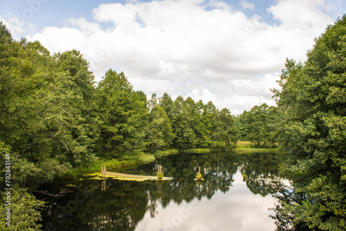 A pastoral landscape - a river with reflection and green trees on the banks on a sunny summer day and a space to copy in the Vladimir region in Russia