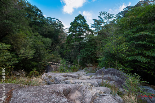 Shiratani Unsuikyo Ravine Trail, Yakushima, Japan photo