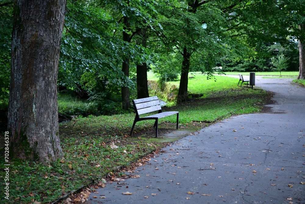 Detail of the rest benches in the spa forest park for visitors