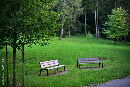 Obraz na płótnie Forest recreation park for tourists with trees and benches for relaxation w salonie