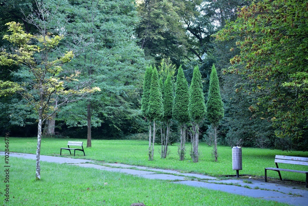 Wooden rest benches in the park on the mowed meadow for guests