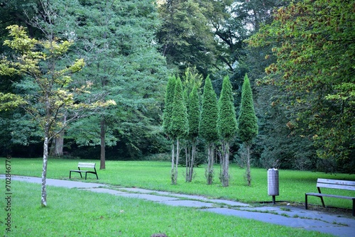 Obraz na płótnie Wooden rest benches in the park on the mowed meadow for guests w salonie