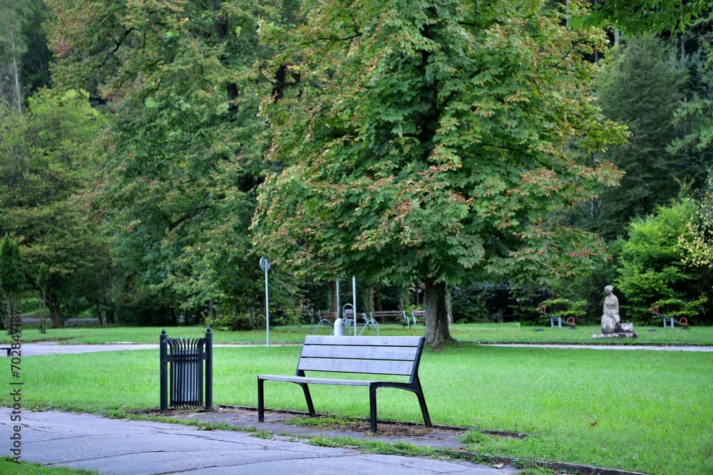 Forest recreation park for tourists with trees and benches for relaxation