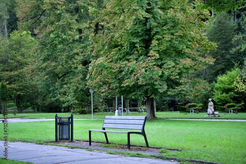 Obraz na płótnie Forest recreation park for tourists with trees and benches for relaxation w salonie
