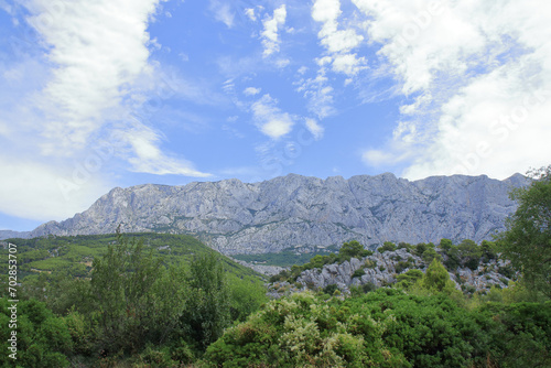 Green pines on the background of mountains and blue sky and white clouds. Silhouette of mountains. Tourism. Outdoor activity in the nature. Croatia. Vacation and summer concept. Mountain landscape