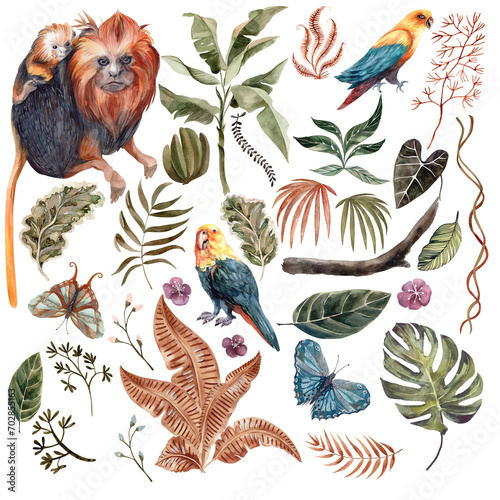 Fototapeta Naklejka Na Ścianę i Meble -  Beautiful large watercolor set with tropical leaves, parrots and monkeys on a white background. Drawings in muted tones. Drawing for the design of souvenirs, postcards, posters and invitations.