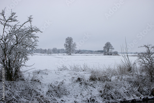 Winter landscape