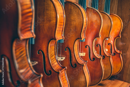 Violins are lined on shelve in musical instruments store