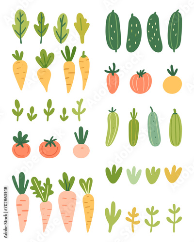 Colorful vector illustration of vegetables including carrots, tomatoes, cucumbers and various leaves on a white background.