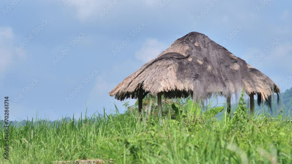 An unkempt thatched wooden hut in the middle of a wild meadow with tropical green hills in the background An unkempt thatched wooden hut in the middle of a wild meadow with tropical green hills in the background