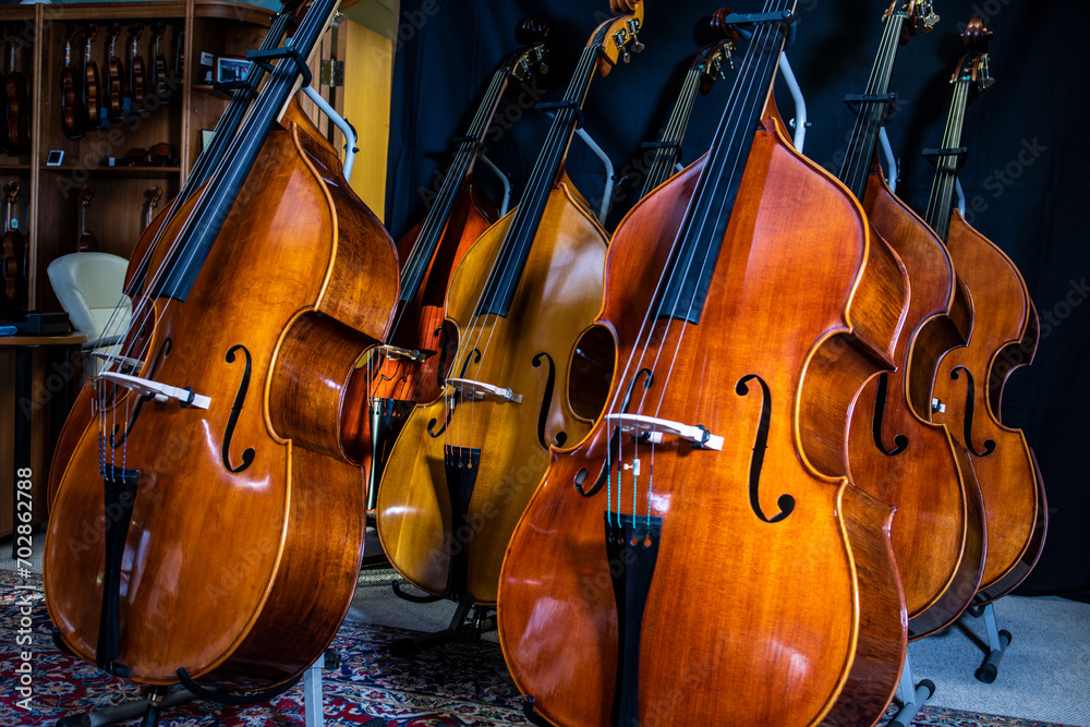 closeup of row of double basses resting against dark background closeup of row of double basses resting against dark background
