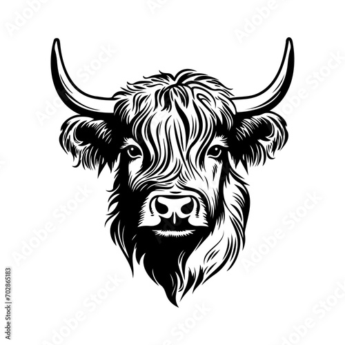 Highland cow head. Farm Animal. Vector illustration.