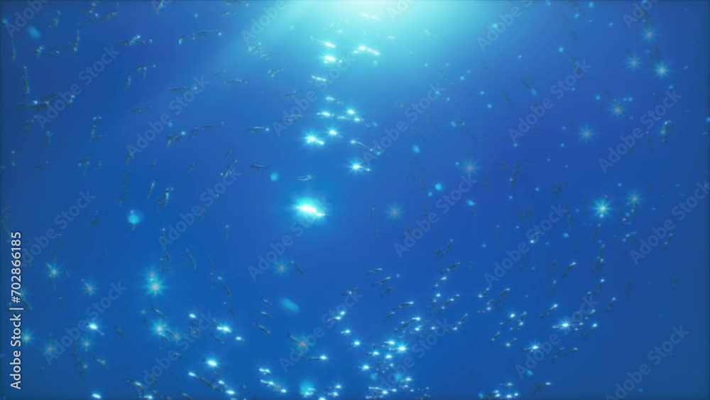 Packs of predatory fish hunt against a background of small fish swimming in a circle. Packs of predatory fish hunt against a background of small fish swimming in a circle.