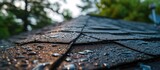 Hail damage on a shingle roof circled during a home inspection.