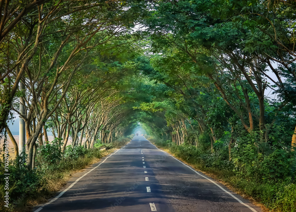 A suburban road, shedded by the tree branches at Sylhet, Bangladesh A suburban road, shedded by the tree branches at Sylhet, Bangladesh