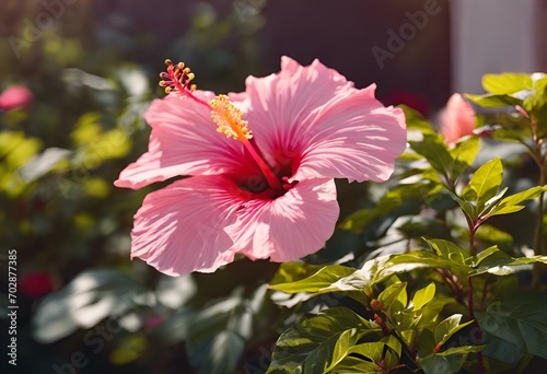 pink flower near house surrounded by green leaves and pink flowers © Wirestock