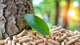 wood pellets with leaf and tree trunks