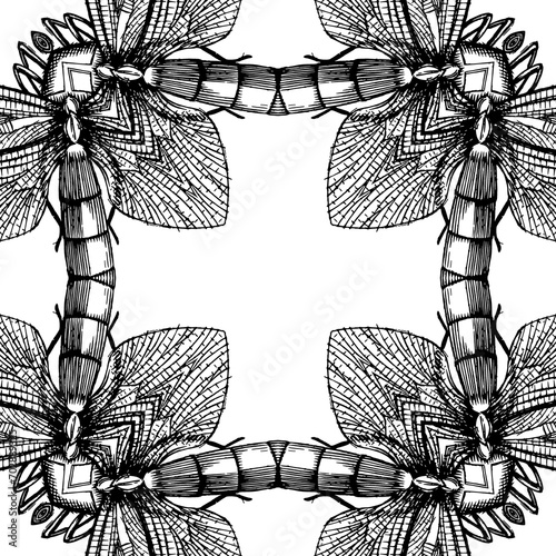 pattern, tile, mandala, seamless, design, digital, illustration, decoration, ornament, ornamental, art, symmetrical, symbol, wallpaper, background, element, decor, texture, style, ornate, beautiful