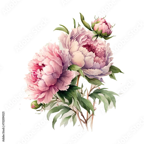 Watercolor flowers peony Women's Day Mother's day vector © 1emonkey