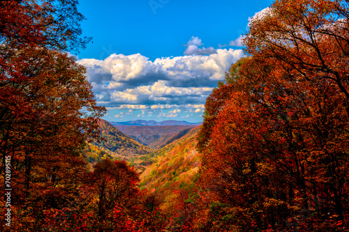 Fotografi A Fall valley in West Virginia